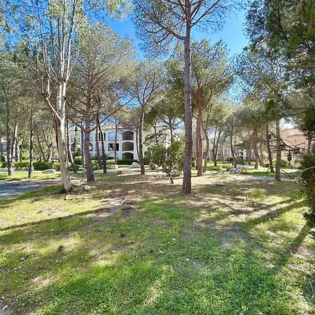 Renove Avec Grande Terrasse Proche - Fr-1-388-239
